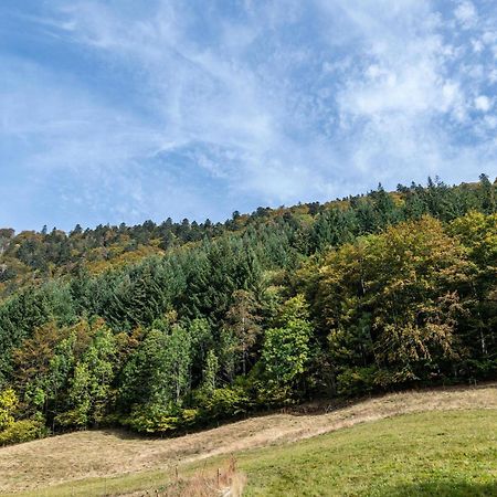 Gasthaus Zur Linde- Napf Oberried  Exteriör bild