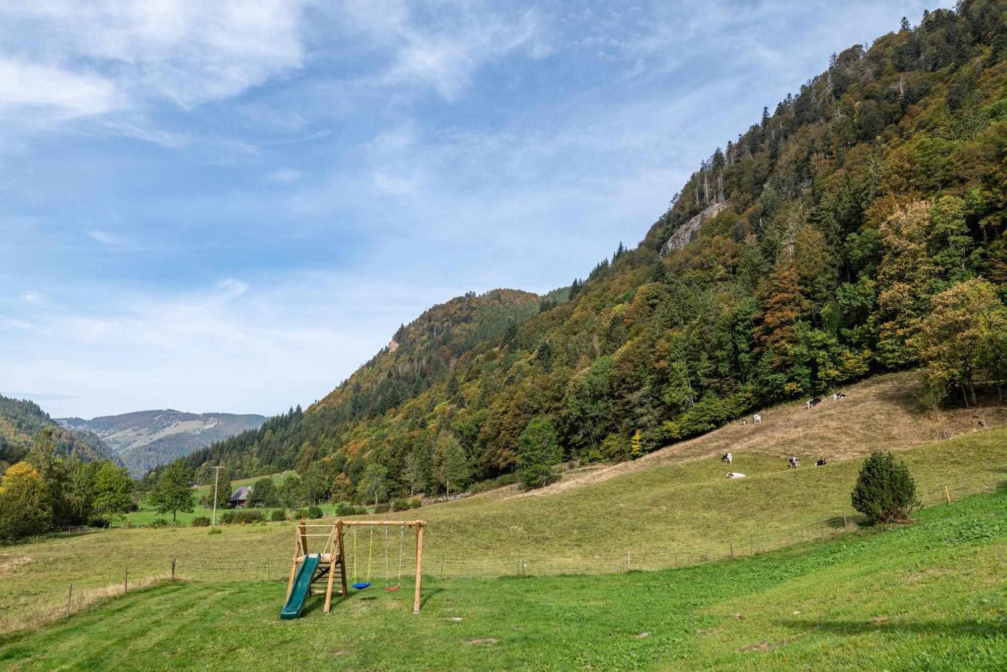 Gasthaus Zur Linde- Napf Oberried  Exteriör bild