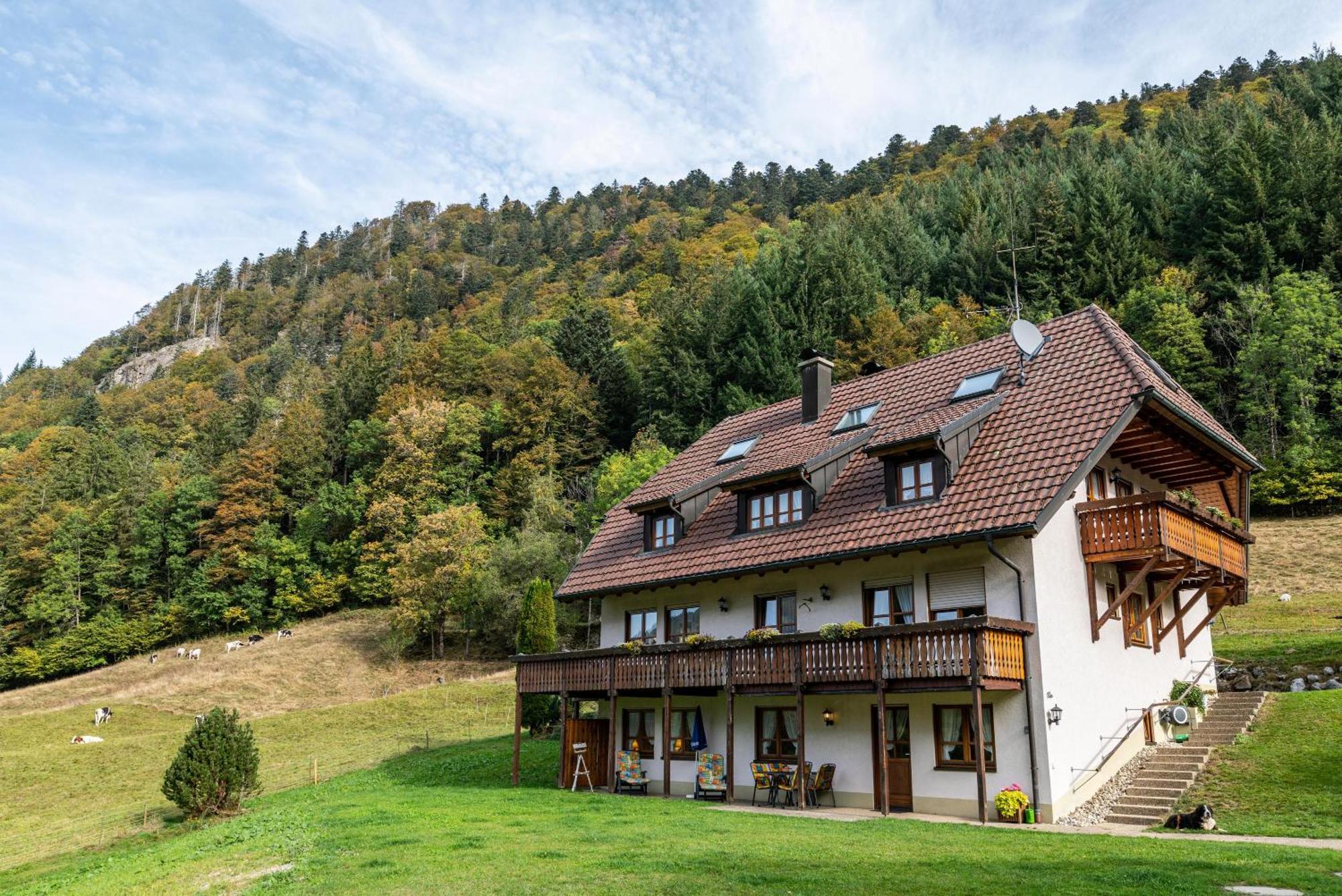 Gasthaus Zur Linde- Napf Oberried  Exteriör bild