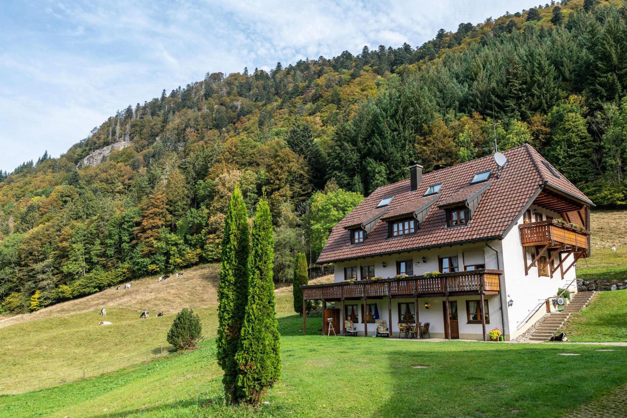 Gasthaus Zur Linde- Napf Oberried  Exteriör bild