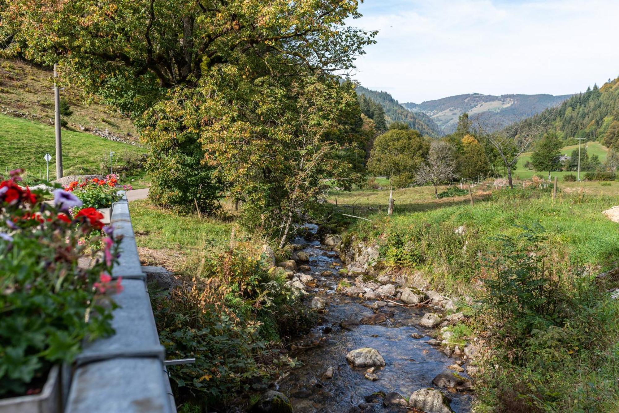 Gasthaus Zur Linde- Napf Oberried  Exteriör bild